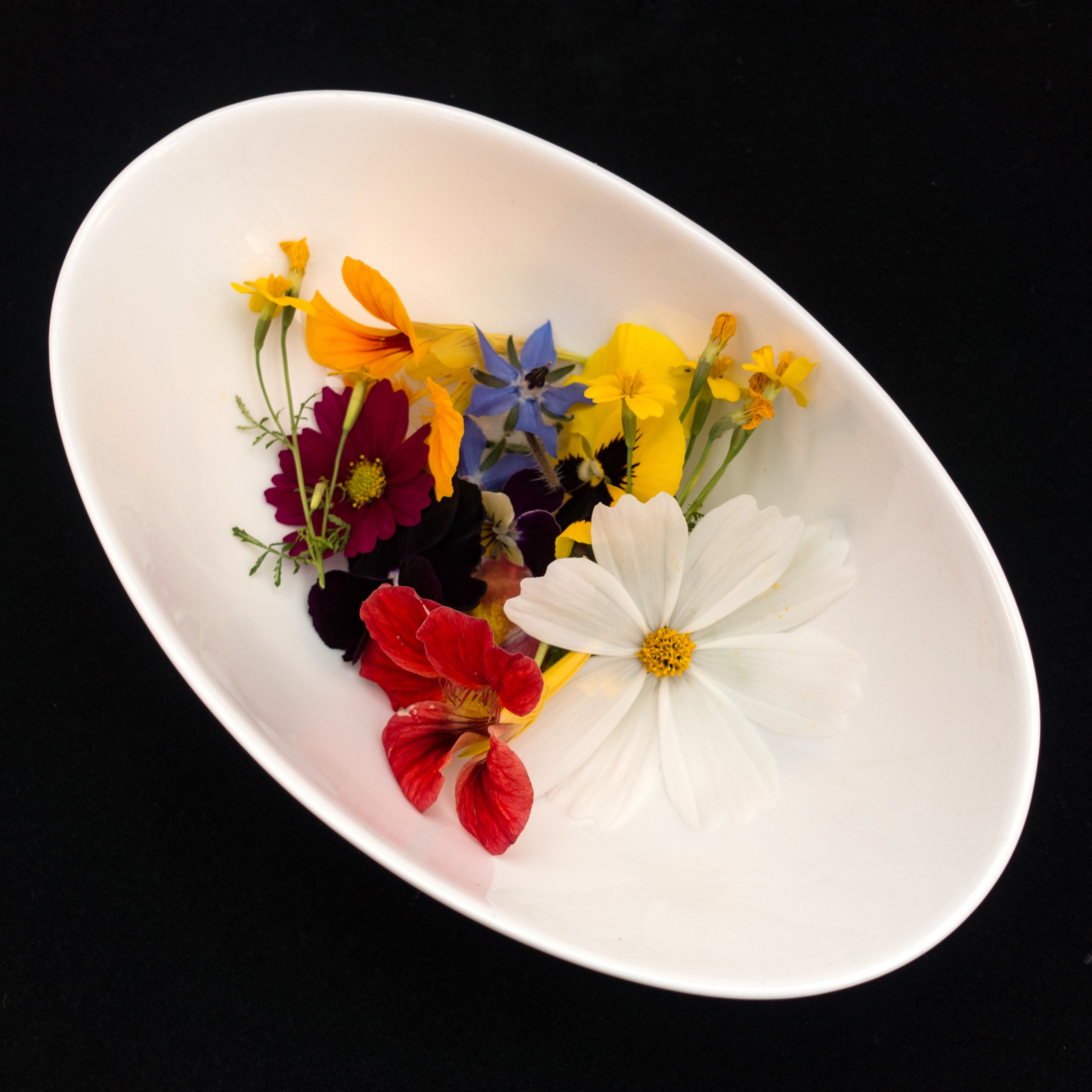 Wholesale Edible Flowers Mix